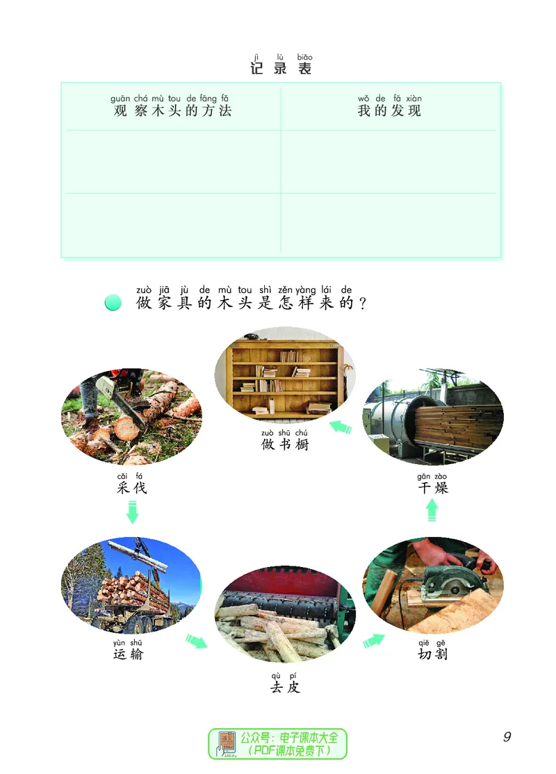 科学一下青岛版六三制（2025春）_小学全网线上同款资料_2025春新增教材合集_小学科学（2025春新教材）