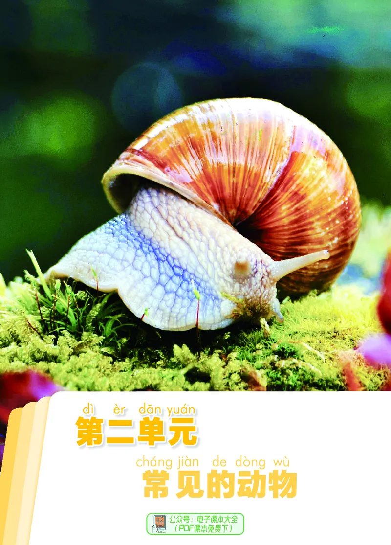 科学一下青岛版六三制（2025春）_小学全网线上同款资料_2025春新增教材合集_小学科学（2025春新教材）
