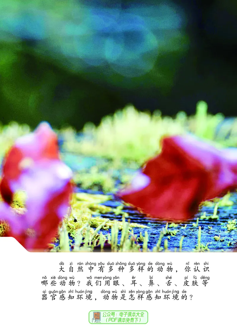 科学一下青岛版六三制（2025春）_小学全网线上同款资料_2025春新增教材合集_小学科学（2025春新教材）