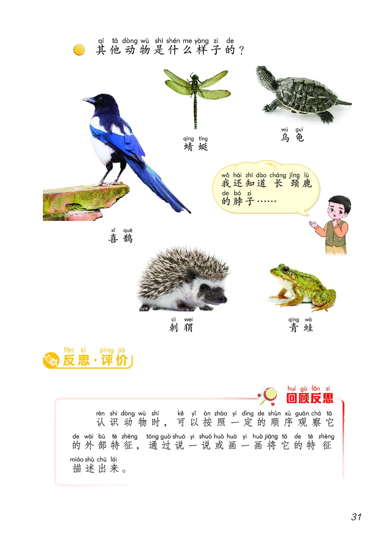 科学一下青岛版六三制（2025春）_小学全网线上同款资料_2025春新增教材合集_小学科学（2025春新教材）