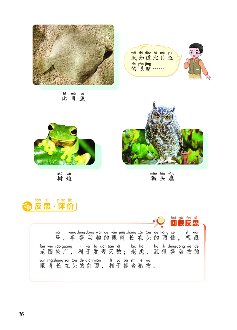 科学一下青岛版六三制（2025春）_小学全网线上同款资料_2025春新增教材合集_小学科学（2025春新教材）