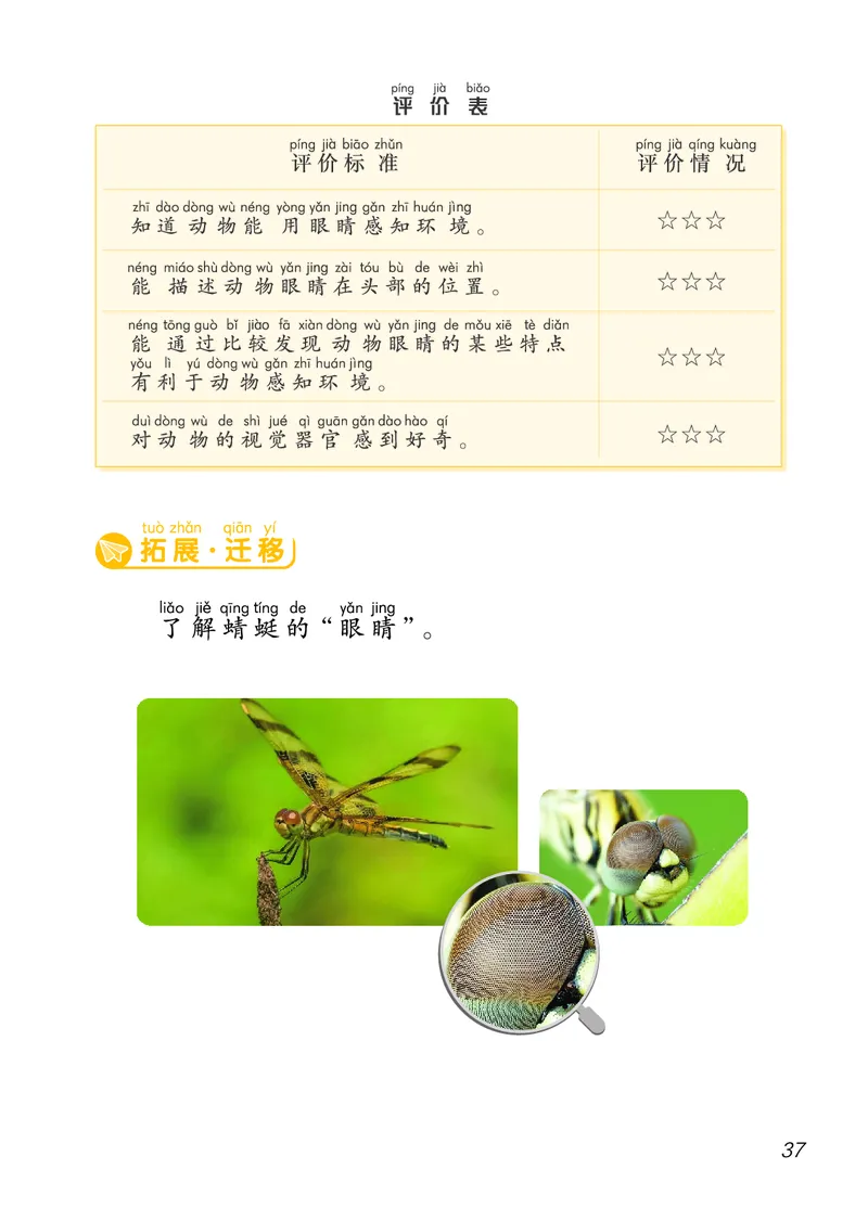 科学一下青岛版六三制（2025春）_小学全网线上同款资料_2025春新增教材合集_小学科学（2025春新教材）