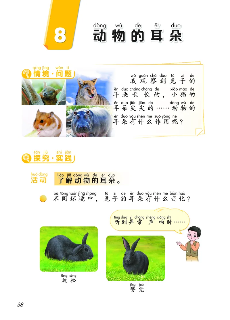 科学一下青岛版六三制（2025春）_小学全网线上同款资料_2025春新增教材合集_小学科学（2025春新教材）