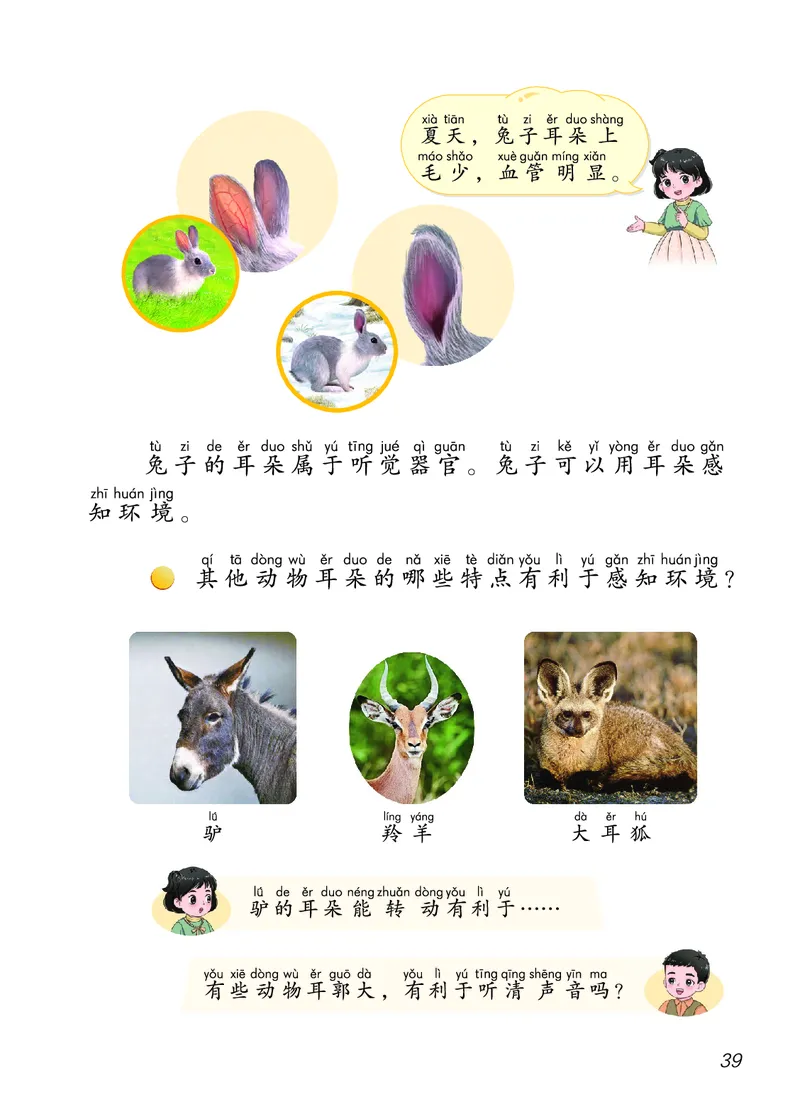 科学一下青岛版六三制（2025春）_小学全网线上同款资料_2025春新增教材合集_小学科学（2025春新教材）