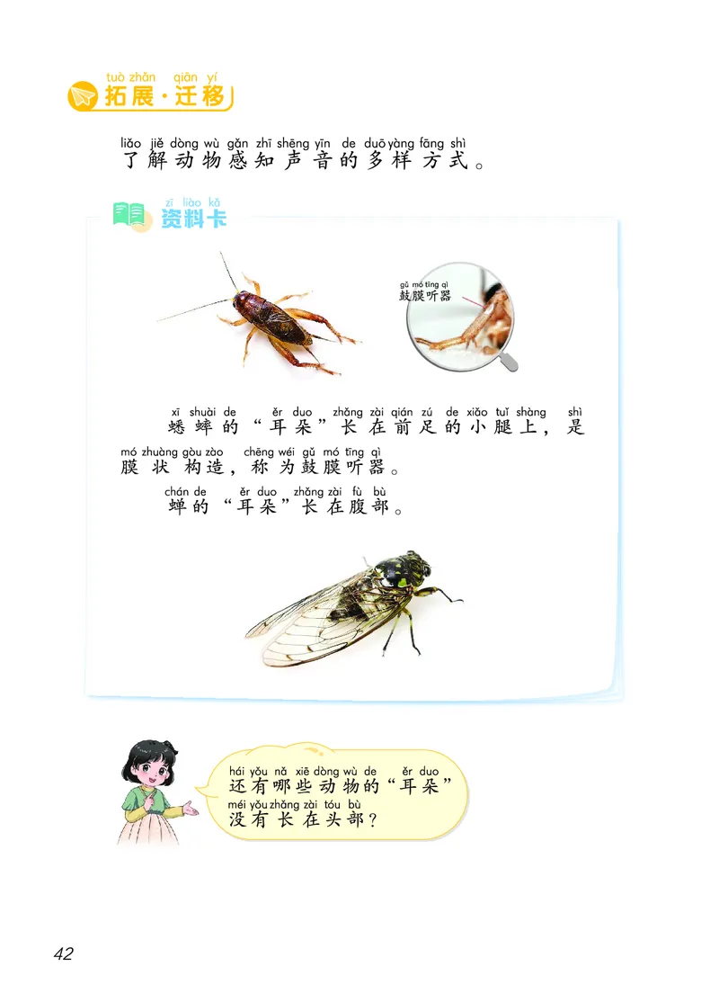 科学一下青岛版六三制（2025春）_小学全网线上同款资料_2025春新增教材合集_小学科学（2025春新教材）