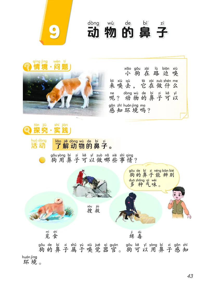 科学一下青岛版六三制（2025春）_小学全网线上同款资料_2025春新增教材合集_小学科学（2025春新教材）