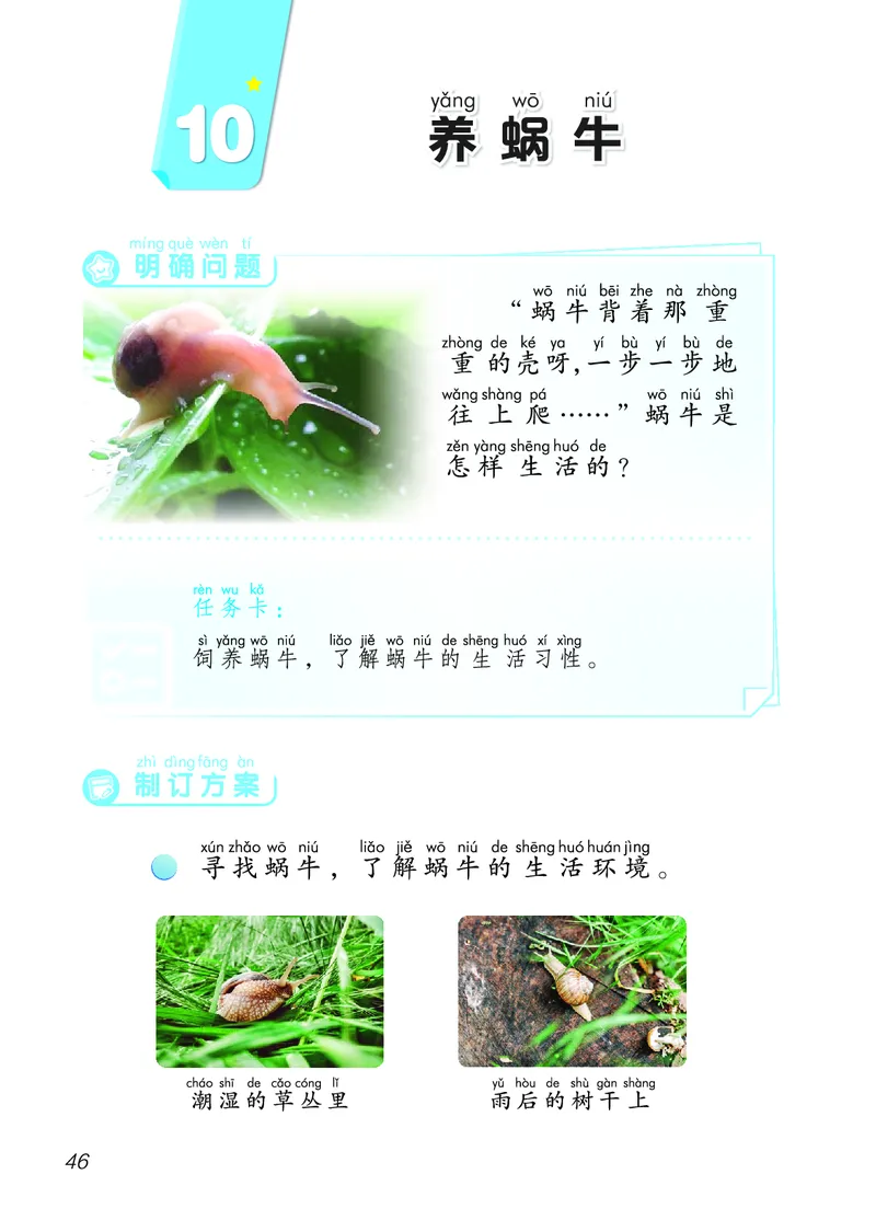 科学一下青岛版六三制（2025春）_小学全网线上同款资料_2025春新增教材合集_小学科学（2025春新教材）