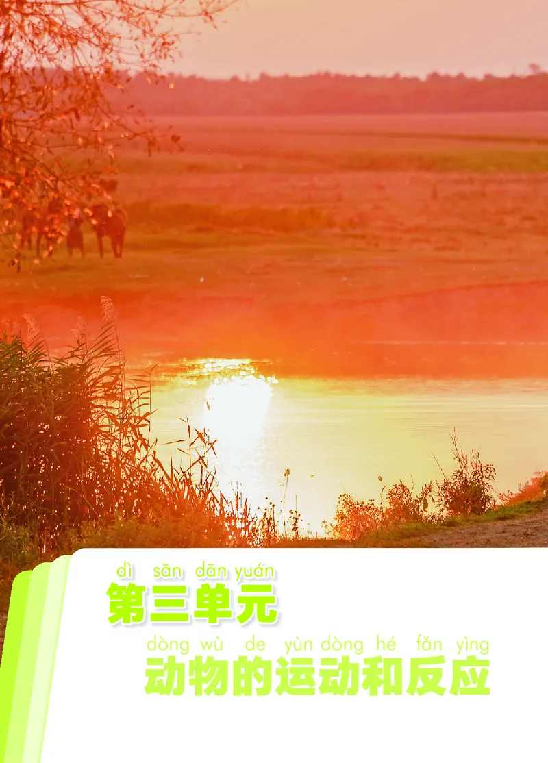 科学一下青岛版六三制（2025春）_小学全网线上同款资料_2025春新增教材合集_小学科学（2025春新教材）