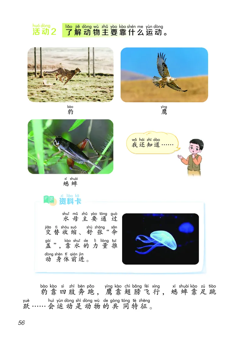 科学一下青岛版六三制（2025春）_小学全网线上同款资料_2025春新增教材合集_小学科学（2025春新教材）