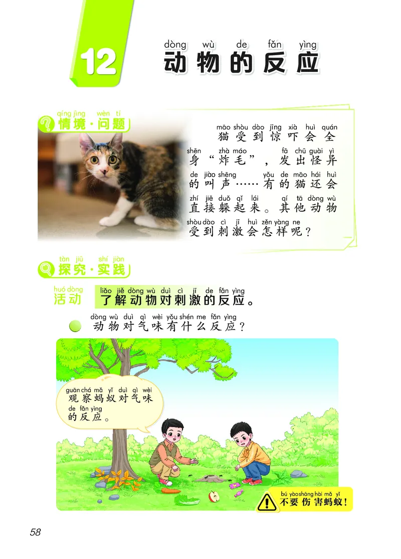 科学一下青岛版六三制（2025春）_小学全网线上同款资料_2025春新增教材合集_小学科学（2025春新教材）