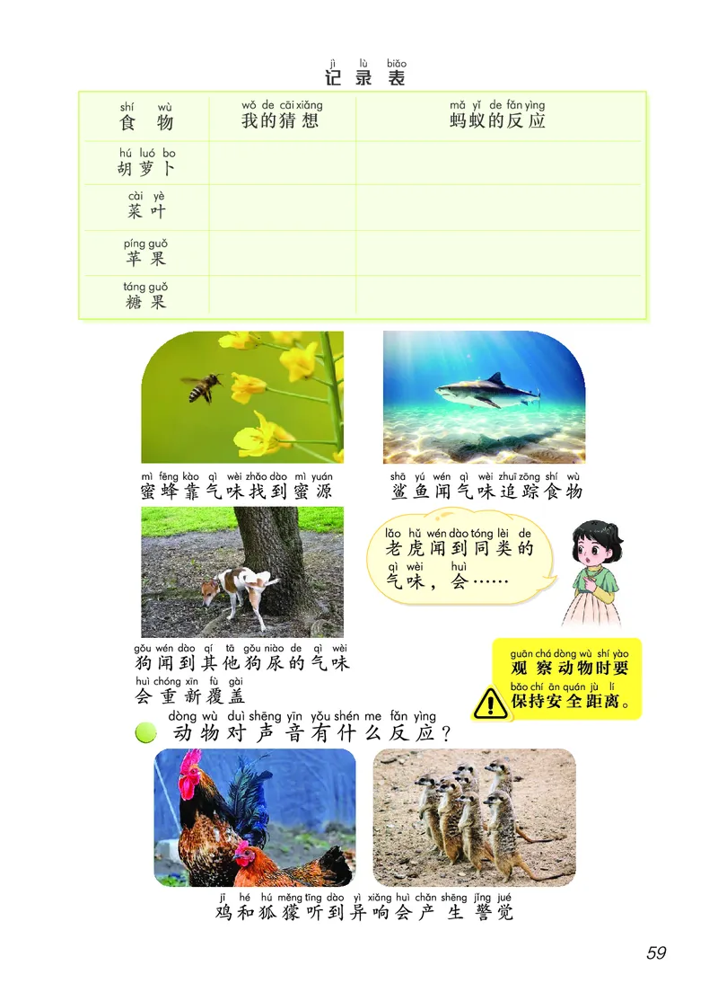 科学一下青岛版六三制（2025春）_小学全网线上同款资料_2025春新增教材合集_小学科学（2025春新教材）