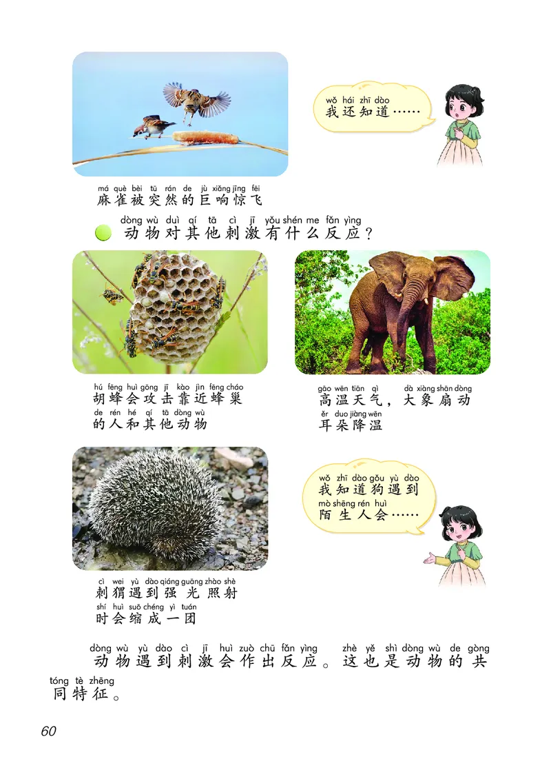 科学一下青岛版六三制（2025春）_小学全网线上同款资料_2025春新增教材合集_小学科学（2025春新教材）