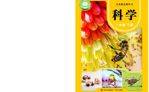 科学一下青岛版六三制（2025春）_小学全网线上同款资料_2025春新增教材合集_小学科学（2025春新教材）