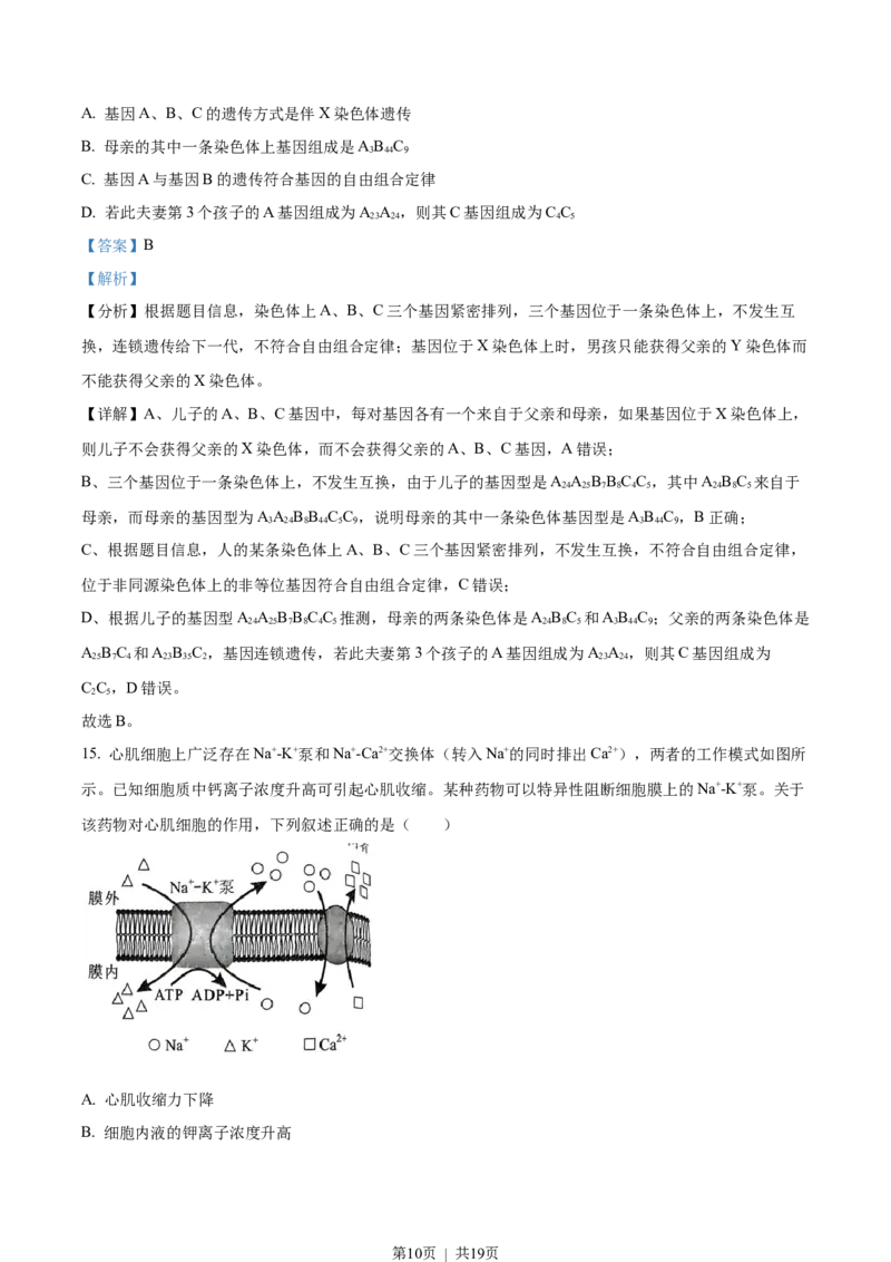 2023年高考生物试卷（湖北）（解析卷）_生物历年高考真题_新&middot;Word版2008-2025&middot;高考生物真题_生物（按年份分类）2008-2025_2023&middot;高考生物真题