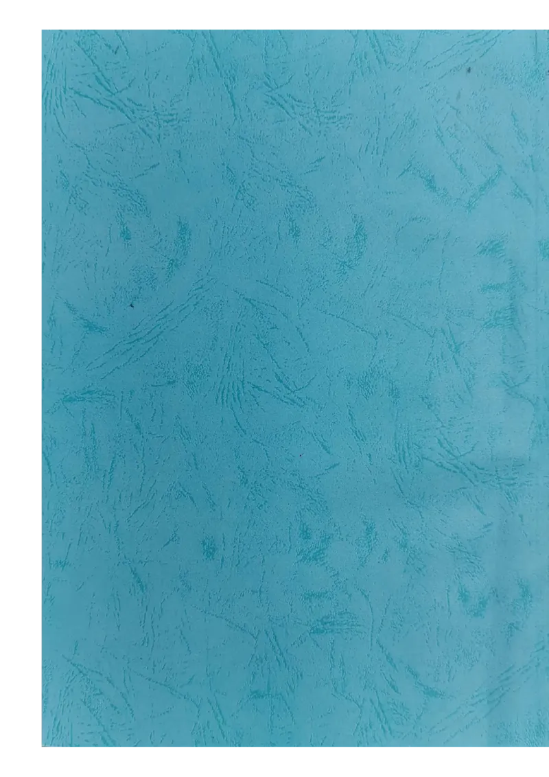 8、隧道检测报告_2021-2023年优秀施组方案_施工组织设计_施组11-新余环城路项目施工组织设计_交工验收记录_G533