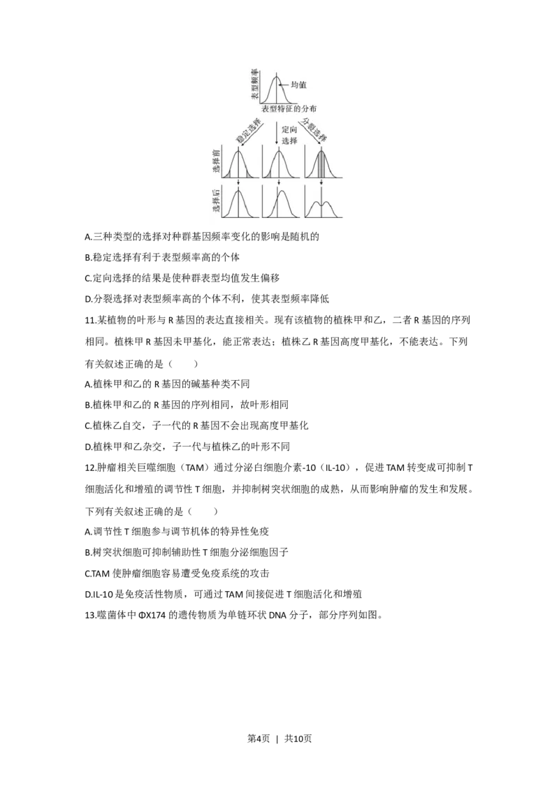 2023年高考生物真题（海南）（空白卷）_生物历年高考真题_新&middot;Word版2008-2025&middot;高考生物真题_生物（按年份分类）2008-2025_2023&middot;高考生物真题