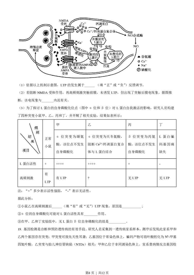 2023年高考生物试卷（湖南）（空白卷）_生物历年高考真题_新&middot;PDF版2008-2025&middot;高考生物真题_生物（按年份分类）2008-2025_2023&middot;高考生物真题