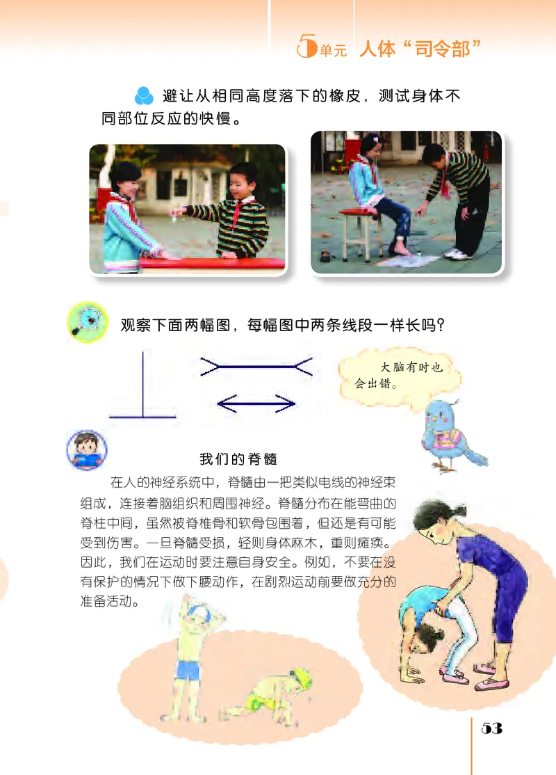 苏教版5年级科学上册高清教材_全部版本&bull;小学科学电子课本_苏教版小学科学电子课本