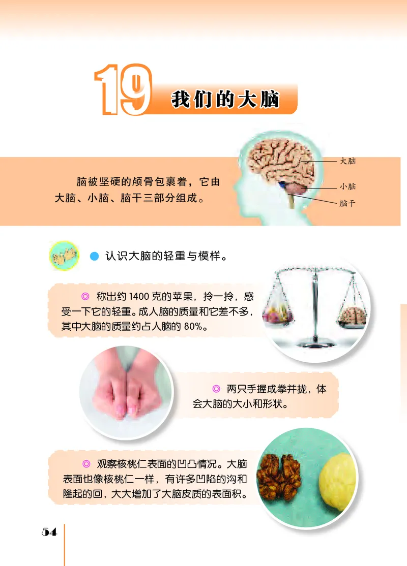苏教版5年级科学上册高清教材_全部版本&bull;小学科学电子课本_苏教版小学科学电子课本
