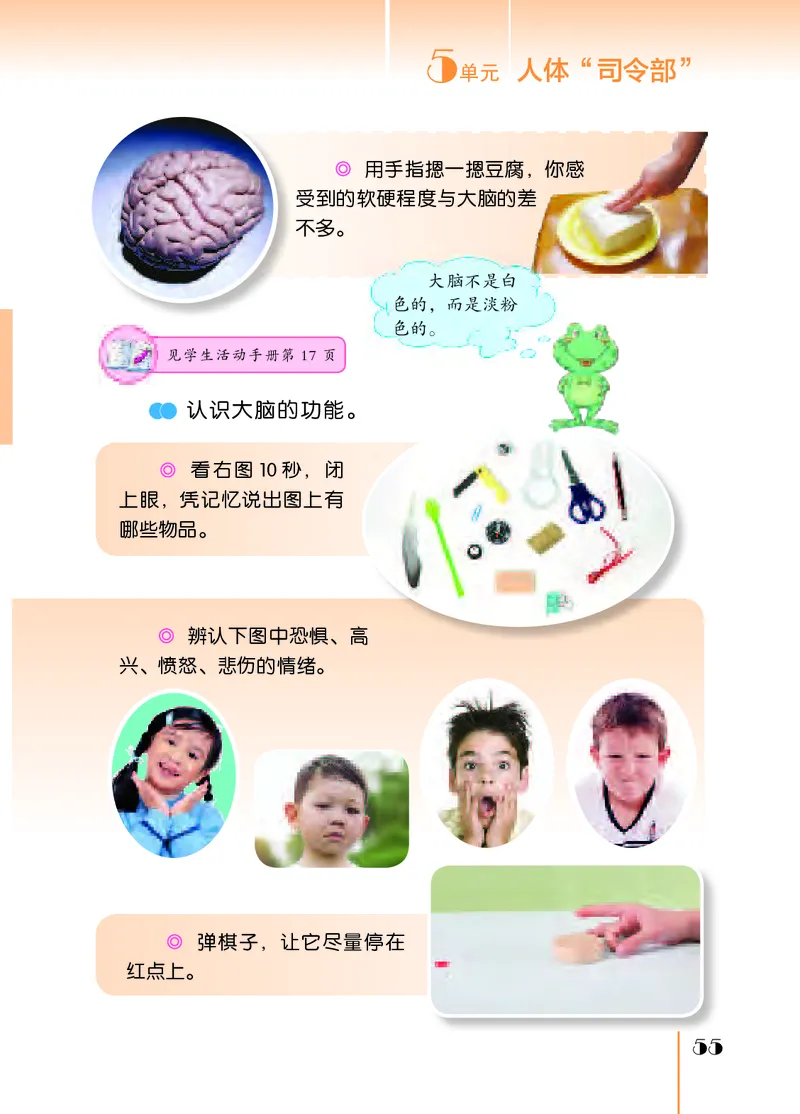 苏教版5年级科学上册高清教材_全部版本&bull;小学科学电子课本_苏教版小学科学电子课本