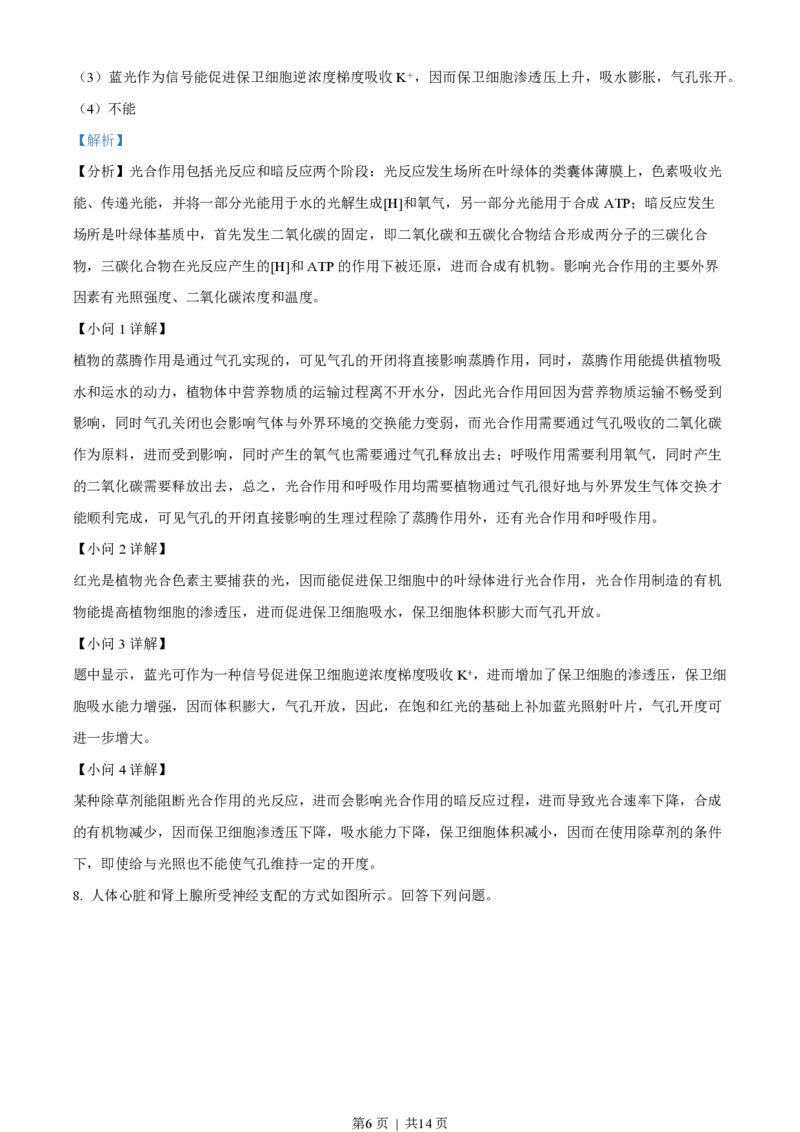 2023年高考生物试卷（全国乙卷）（解析卷）_生物历年高考真题_新&middot;PDF版2008-2025&middot;高考生物真题_生物（按年份分类）2008-2025_2023&middot;高考生物真题