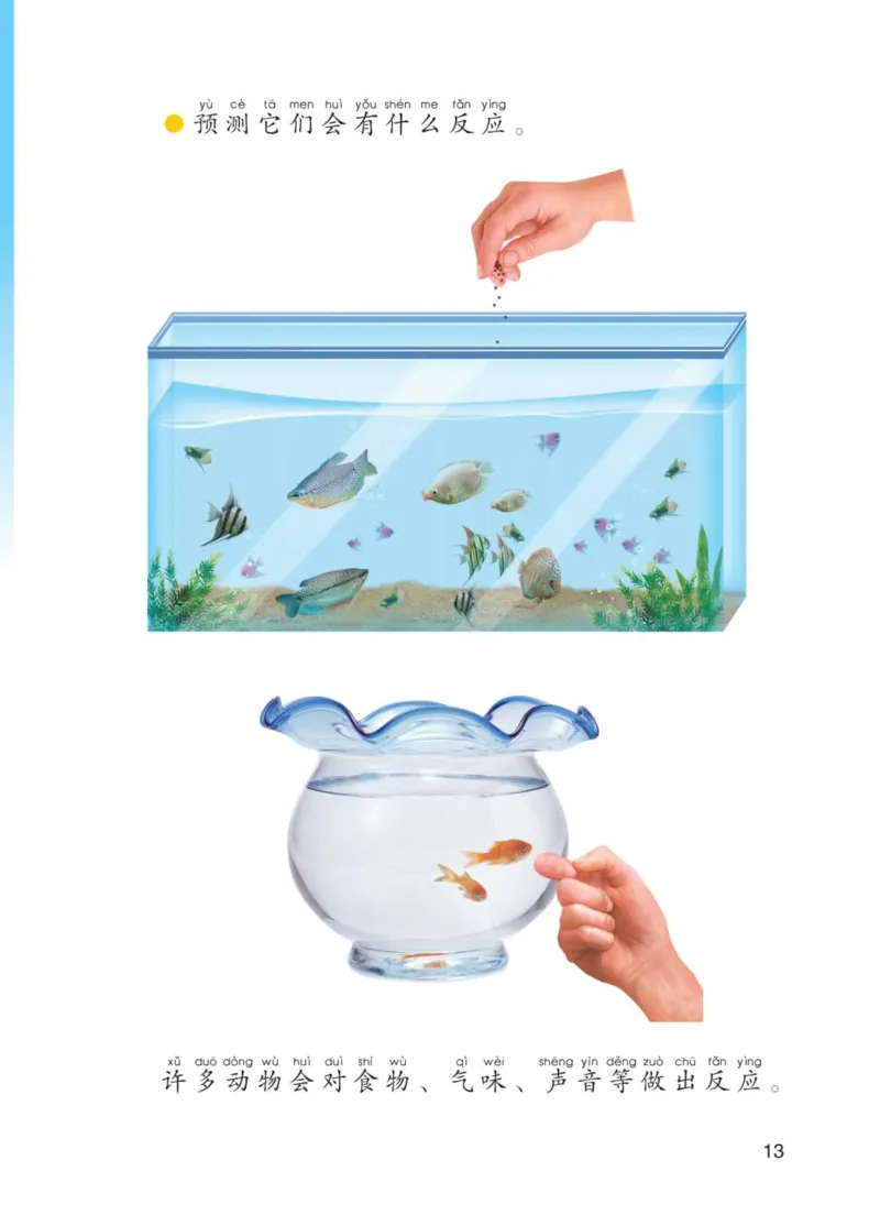 青岛版1年级科学下册高清教材_全部版本&bull;小学科学电子课本_青岛版63制小学科学课本