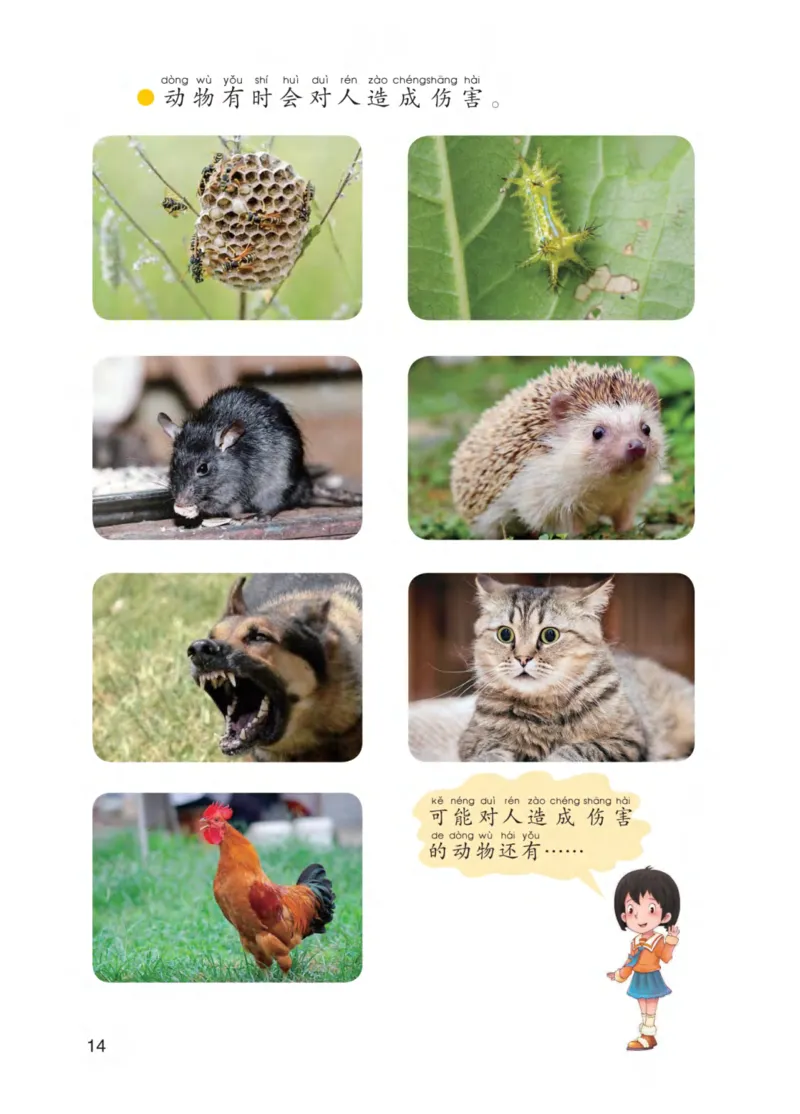 青岛版1年级科学下册高清教材_全部版本&bull;小学科学电子课本_青岛版63制小学科学课本