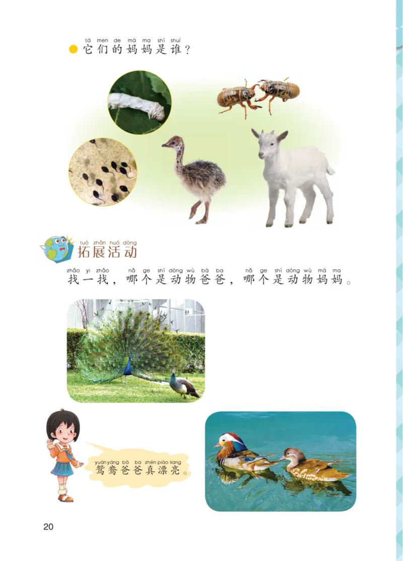 青岛版1年级科学下册高清教材_全部版本&bull;小学科学电子课本_青岛版63制小学科学课本