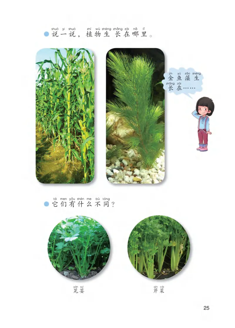 青岛版1年级科学下册高清教材_全部版本&bull;小学科学电子课本_青岛版63制小学科学课本