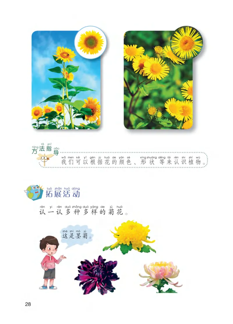 青岛版1年级科学下册高清教材_全部版本&bull;小学科学电子课本_青岛版63制小学科学课本