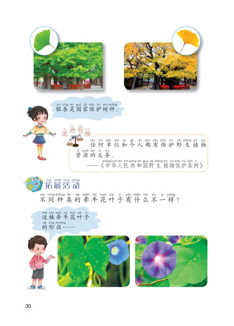 青岛版1年级科学下册高清教材_全部版本&bull;小学科学电子课本_青岛版63制小学科学课本