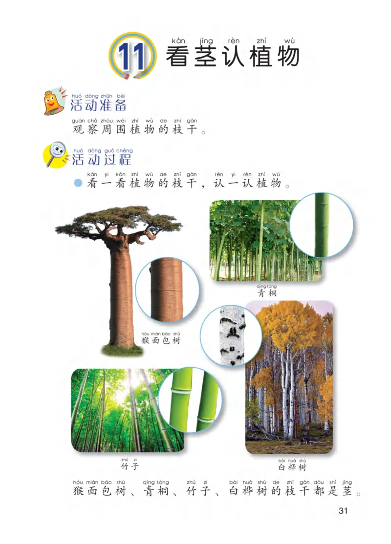 青岛版1年级科学下册高清教材_全部版本&bull;小学科学电子课本_青岛版63制小学科学课本