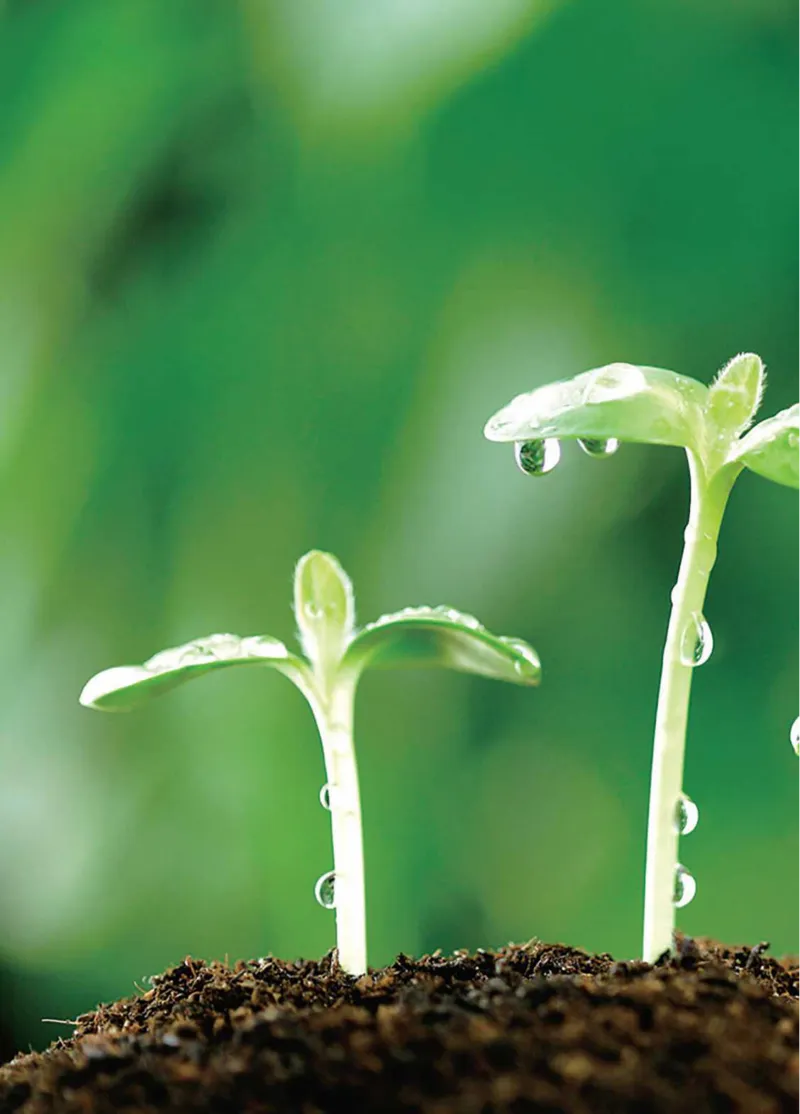 青岛版1年级科学下册高清教材_全部版本&bull;小学科学电子课本_青岛版63制小学科学课本