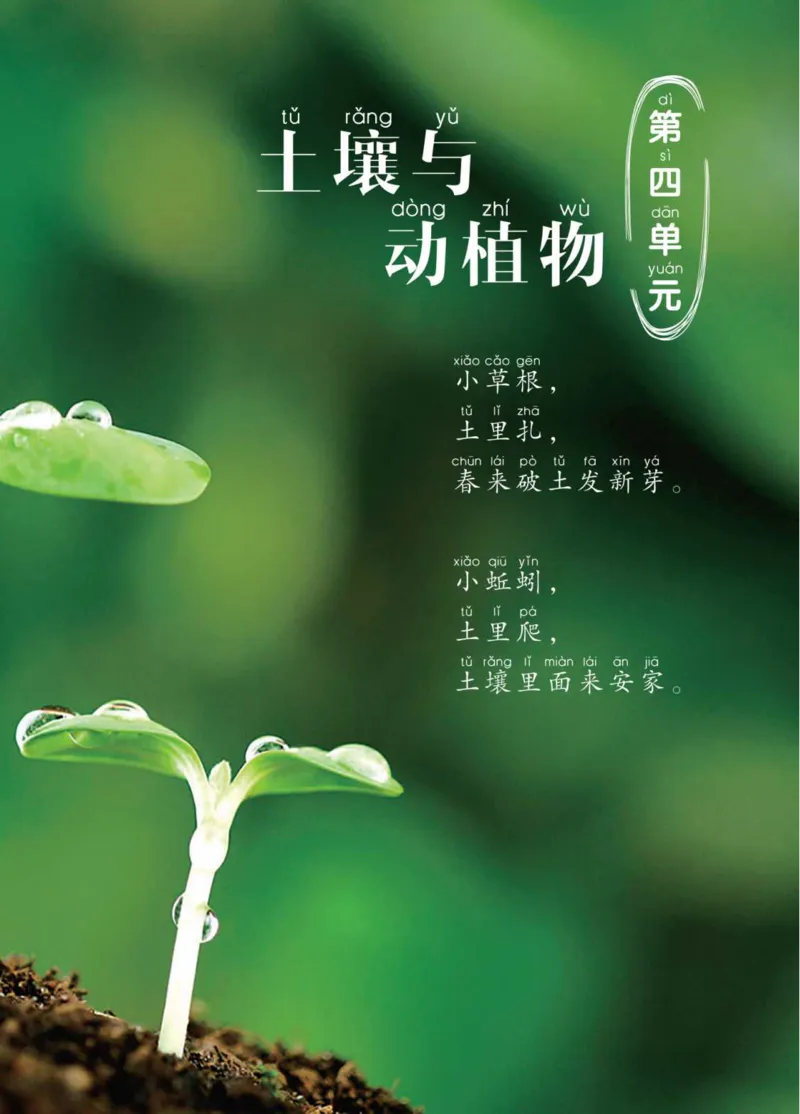 青岛版1年级科学下册高清教材_全部版本&bull;小学科学电子课本_青岛版63制小学科学课本