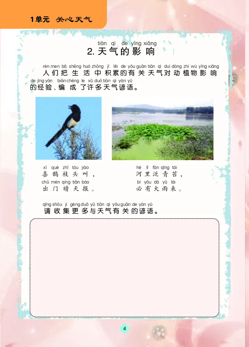 苏教版2年级科学上册活动手册_全部版本&bull;小学科学电子课本_苏教版小学科学电子课本