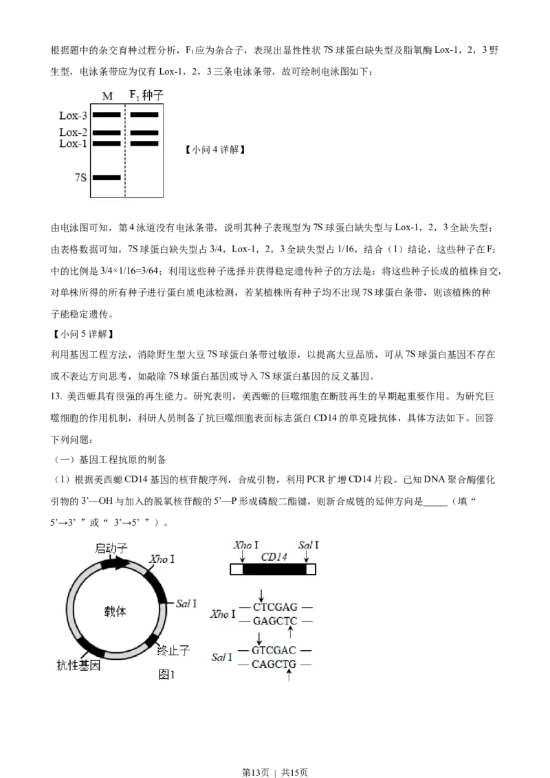 2022年高考生物试卷（福建）（解析卷）_生物历年高考真题_新&middot;Word版2008-2025&middot;高考生物真题_生物（按省份分类）2008-2025_2012-2024&middot;（福建）生物高考真题