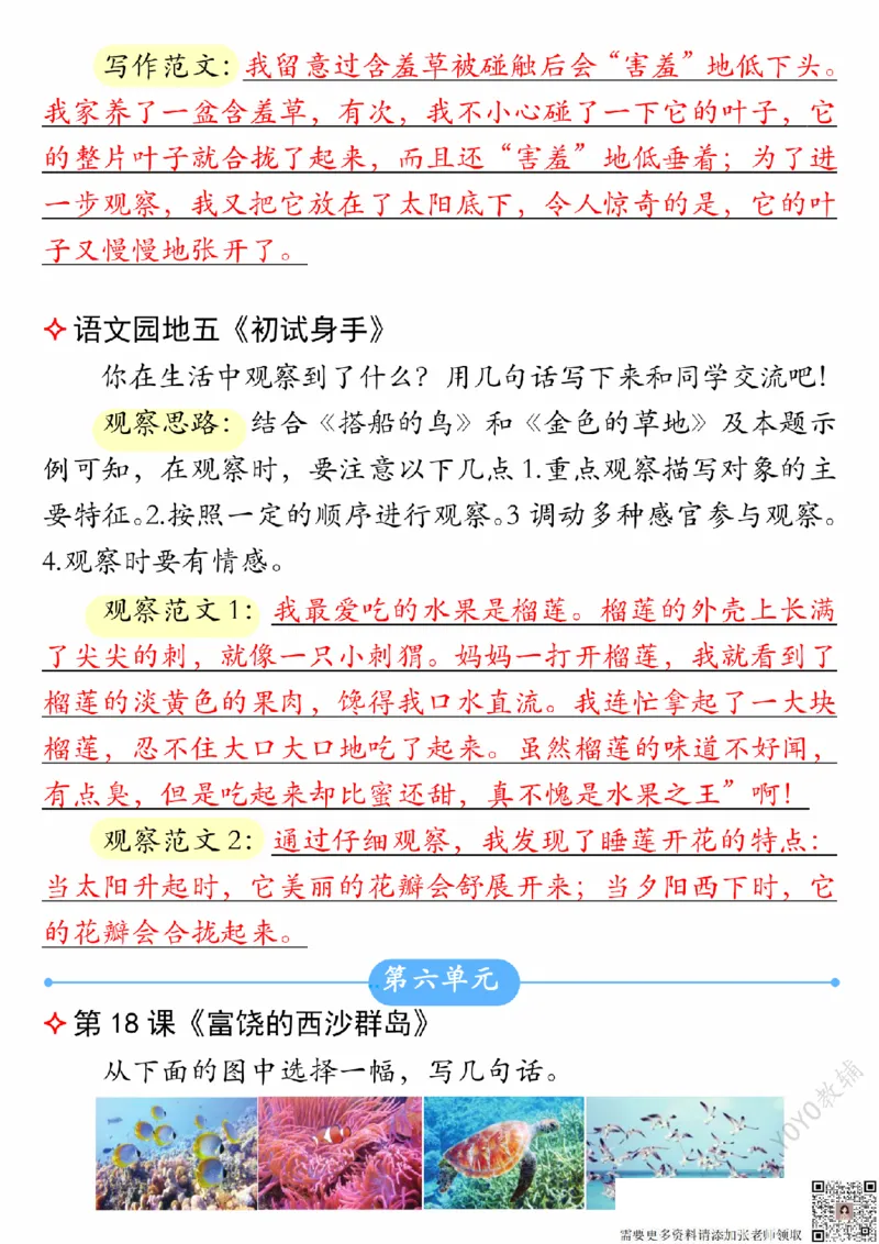 9-19三上语文课后小练笔（2）_三年级上下册资料_三年级上册小红书同款资料_三年级(1)