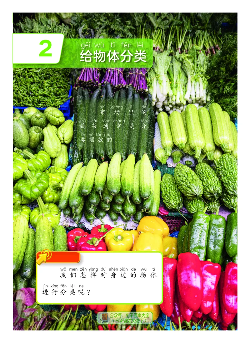 科学一下教科版（2025春）_小学全网线上同款资料_2025春新增教材合集_小学科学（2025春新教材）