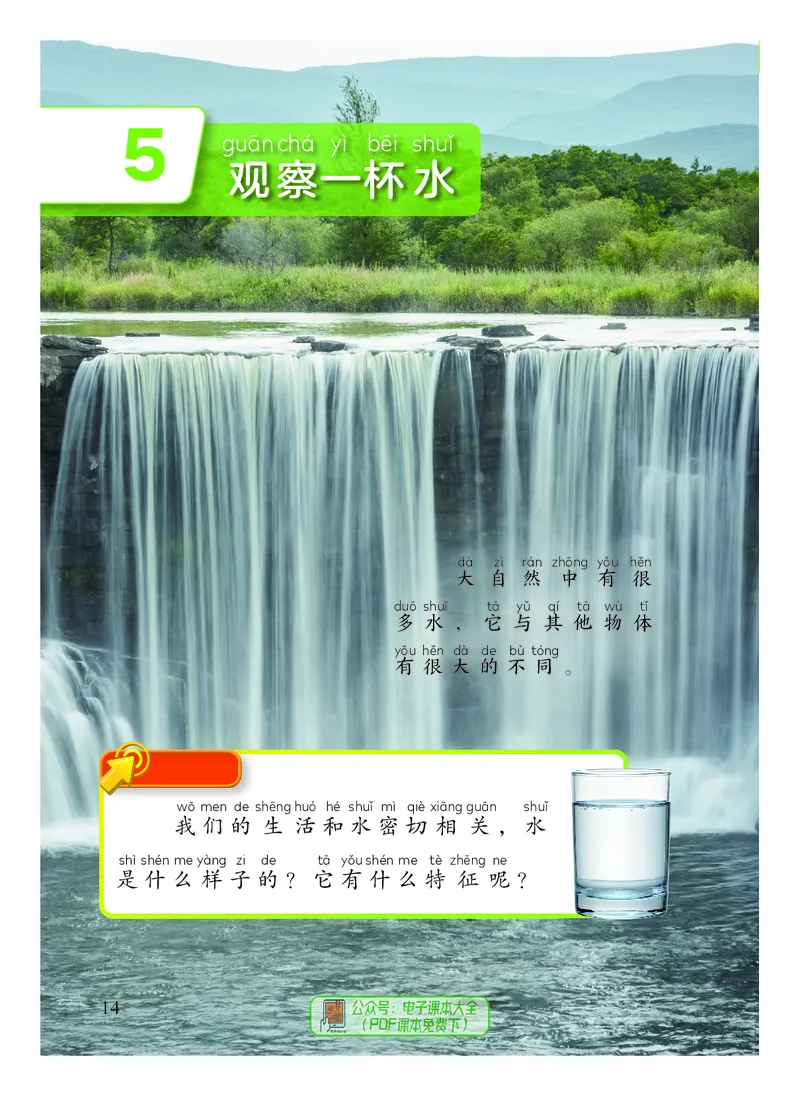 科学一下教科版（2025春）_小学全网线上同款资料_2025春新增教材合集_小学科学（2025春新教材）