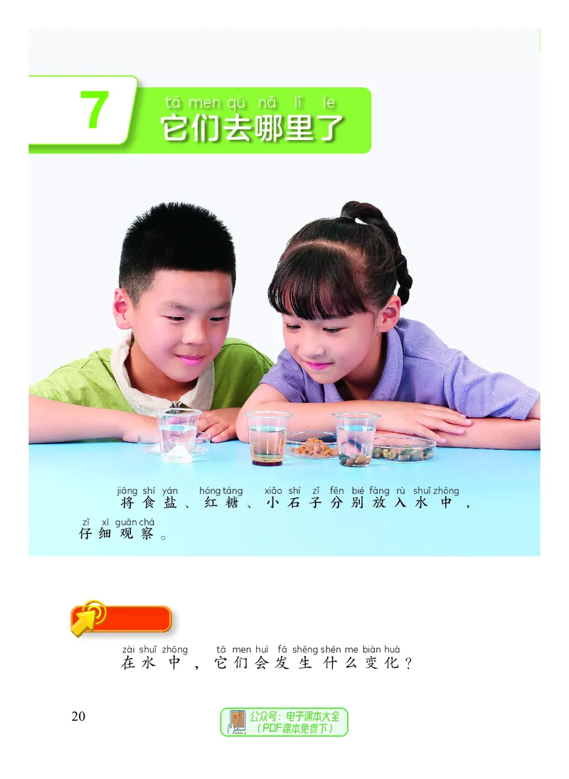 科学一下教科版（2025春）_小学全网线上同款资料_2025春新增教材合集_小学科学（2025春新教材）