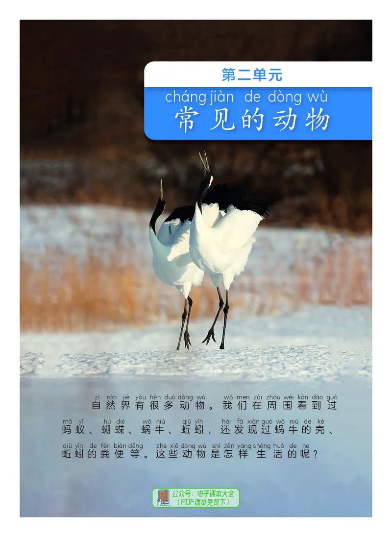 科学一下教科版（2025春）_小学全网线上同款资料_2025春新增教材合集_小学科学（2025春新教材）
