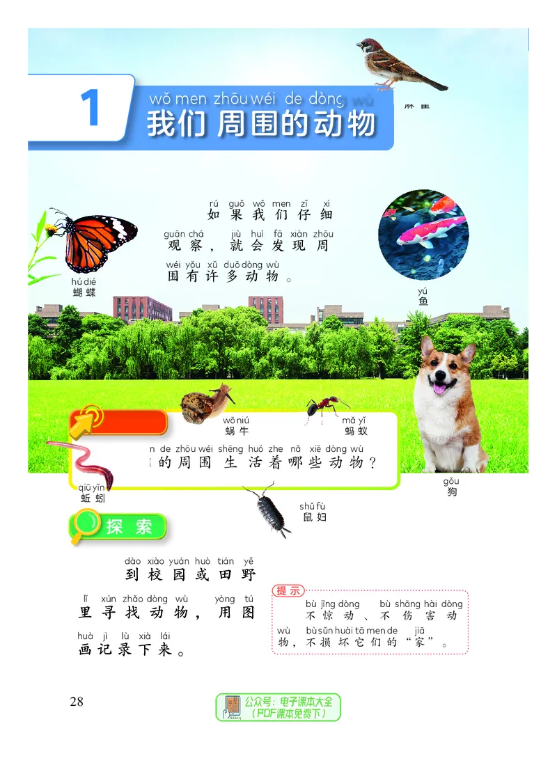 科学一下教科版（2025春）_小学全网线上同款资料_2025春新增教材合集_小学科学（2025春新教材）