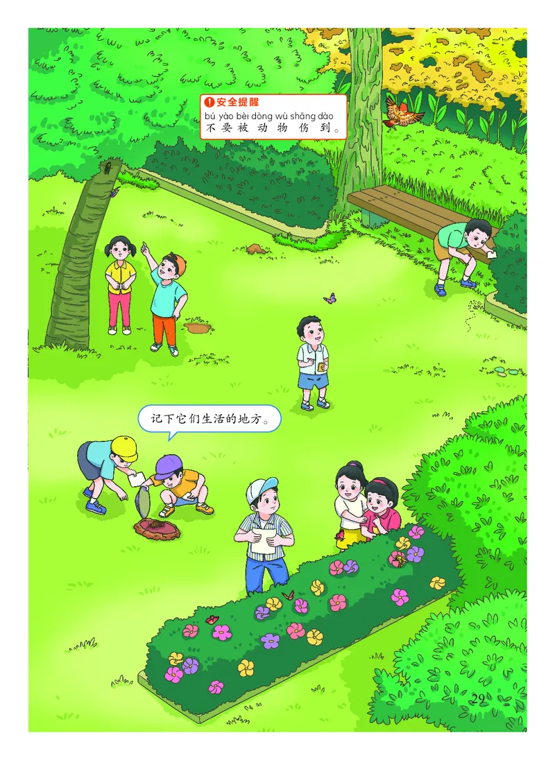 科学一下教科版（2025春）_小学全网线上同款资料_2025春新增教材合集_小学科学（2025春新教材）