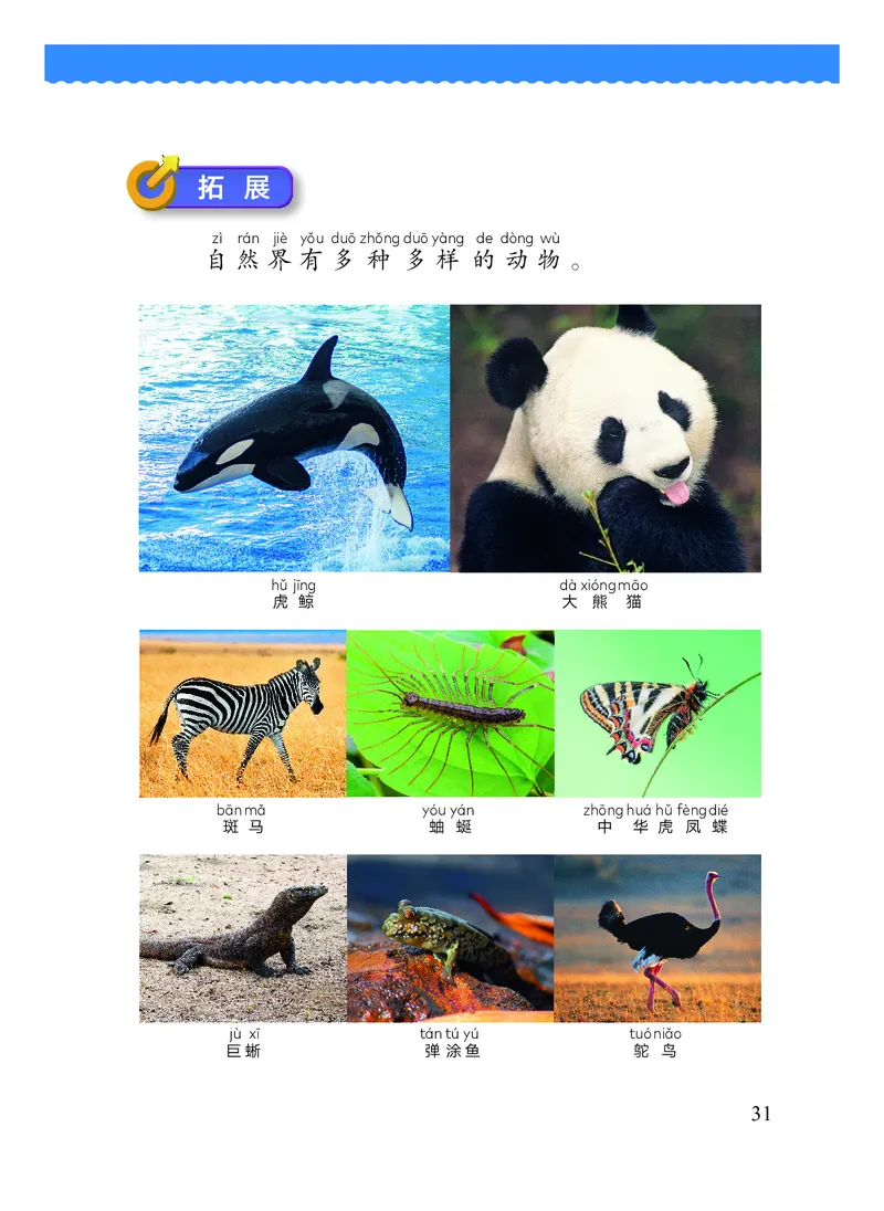 科学一下教科版（2025春）_小学全网线上同款资料_2025春新增教材合集_小学科学（2025春新教材）