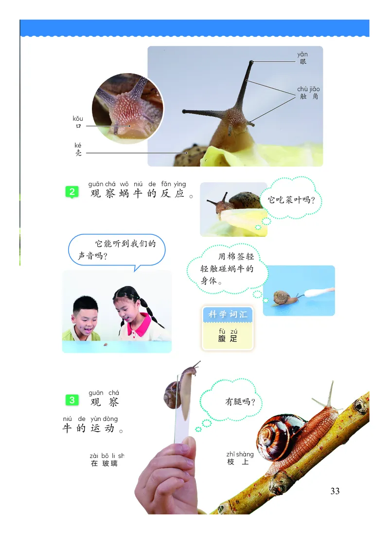 科学一下教科版（2025春）_小学全网线上同款资料_2025春新增教材合集_小学科学（2025春新教材）