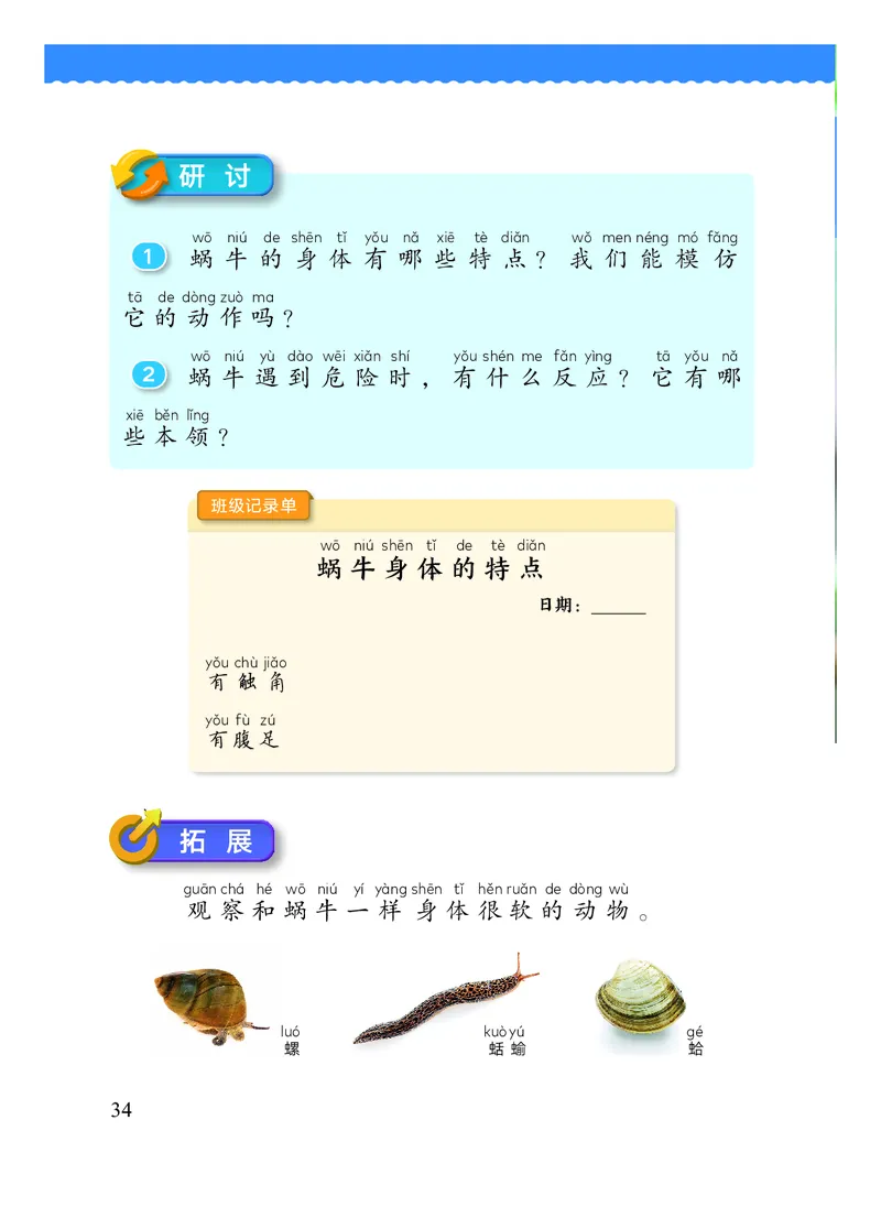 科学一下教科版（2025春）_小学全网线上同款资料_2025春新增教材合集_小学科学（2025春新教材）