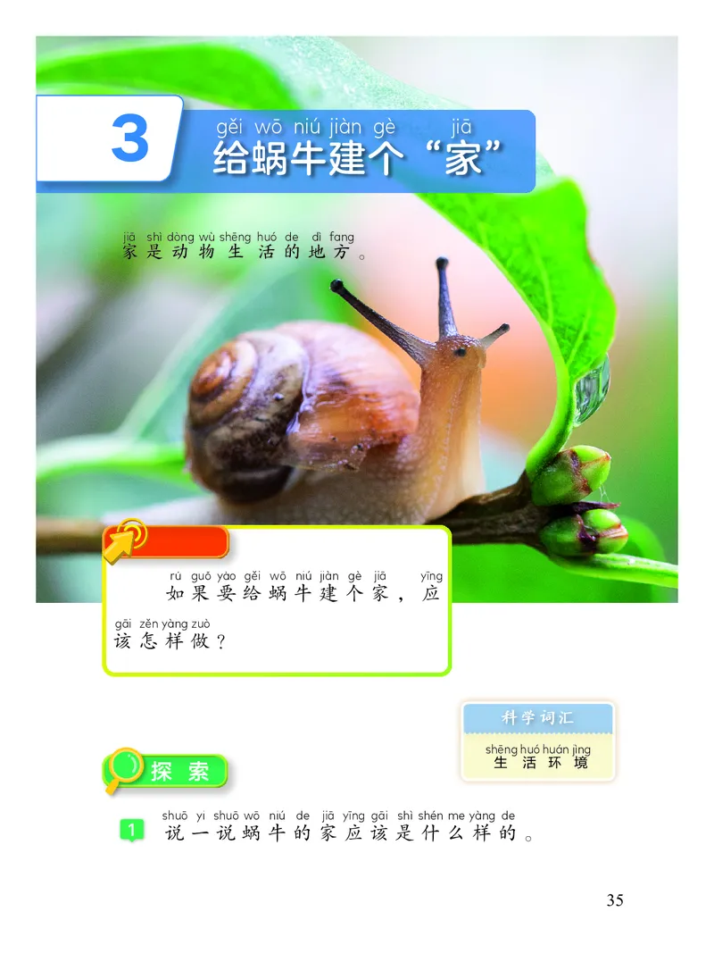 科学一下教科版（2025春）_小学全网线上同款资料_2025春新增教材合集_小学科学（2025春新教材）