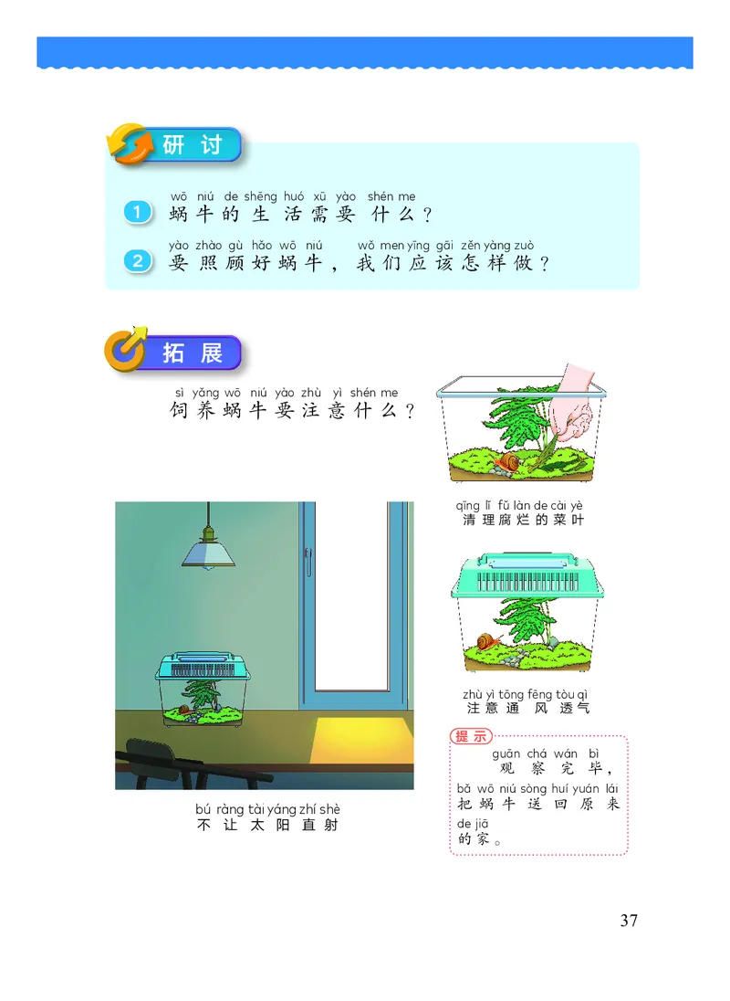 科学一下教科版（2025春）_小学全网线上同款资料_2025春新增教材合集_小学科学（2025春新教材）