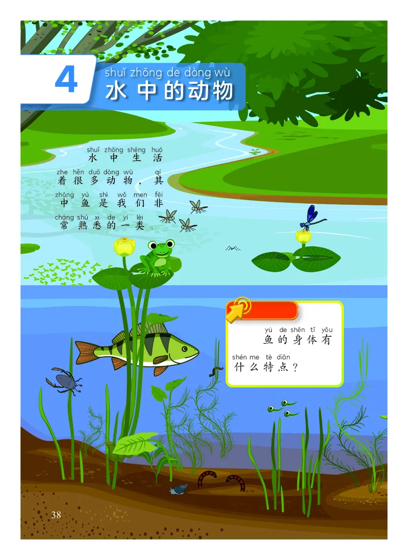 科学一下教科版（2025春）_小学全网线上同款资料_2025春新增教材合集_小学科学（2025春新教材）