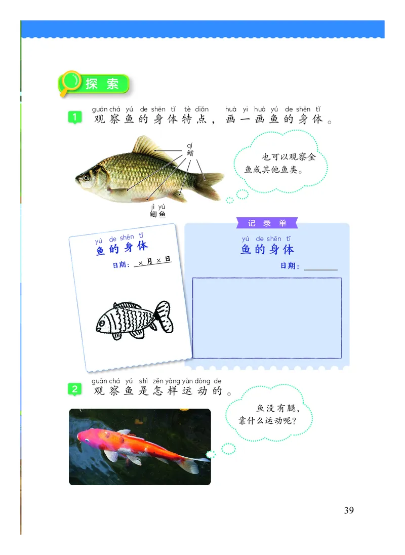 科学一下教科版（2025春）_小学全网线上同款资料_2025春新增教材合集_小学科学（2025春新教材）